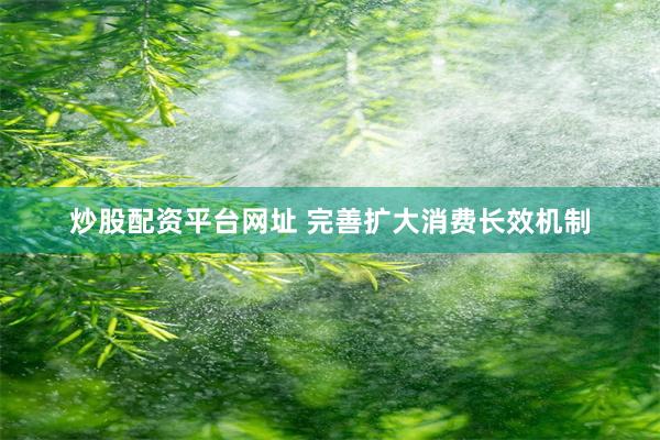 炒股配资平台网址 完善扩大消费长效机制