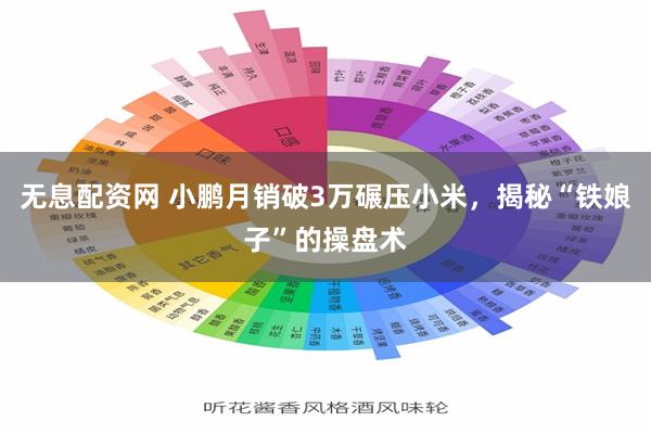 无息配资网 小鹏月销破3万碾压小米，揭秘“铁娘子”的操盘术