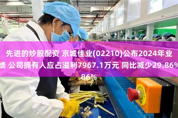 先进的炒股配资 京城佳业(02210)公布2024年业绩 公司拥有人应占溢利7967.1万元 同比减少29.86%