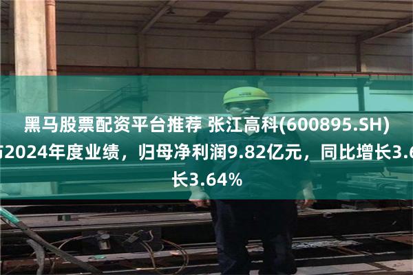 黑马股票配资平台推荐 张江高科(600895.SH)发布2024年度业绩，归母净利润9.82亿元，同比增长3.64%
