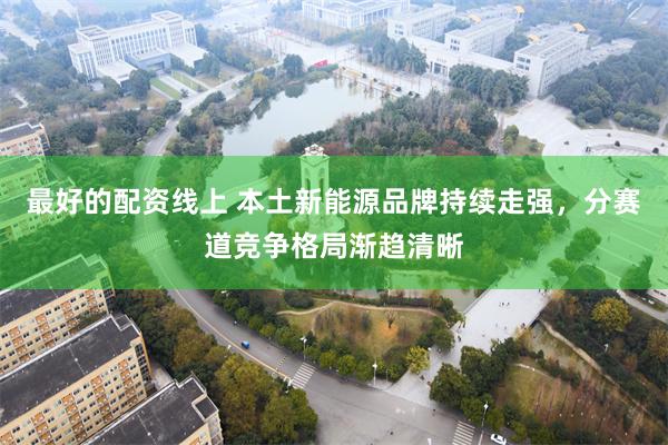 最好的配资线上 本土新能源品牌持续走强，分赛道竞争格局渐趋清晰