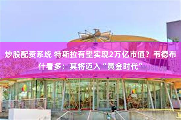 炒股配资系统 特斯拉有望实现2万亿市值？韦德布什看多：其将迈入“黄金时代”