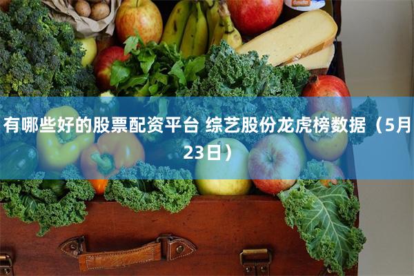 有哪些好的股票配资平台 综艺股份龙虎榜数据（5月23日）
