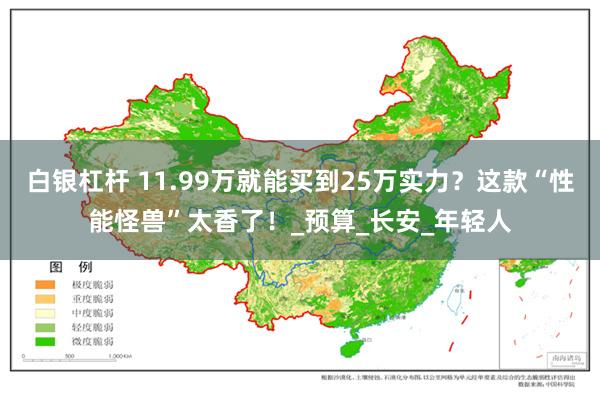 白银杠杆 11.99万就能买到25万实力？这款“性能怪兽”太香了！_预算_长安_年轻人