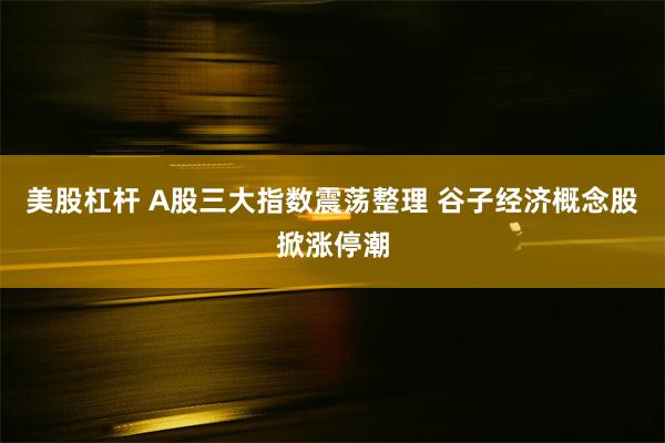 美股杠杆 A股三大指数震荡整理 谷子经济概念股掀涨停潮