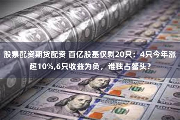 股票配资期货配资 百亿股基仅剩20只：4只今年涨超10%,6只收益为负，谁独占鳌头？