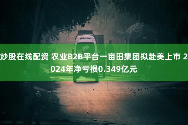 炒股在线配资 农业B2B平台一亩田集团拟赴美上市 2024年净亏损0.349亿元