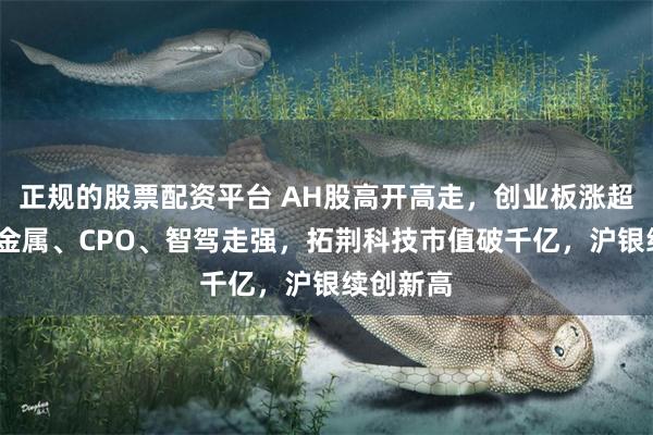 正规的股票配资平台 AH股高开高走,创业板涨超2%,贵金属、CPO、智驾走强,拓荆科技市值破千亿,沪银续创新高