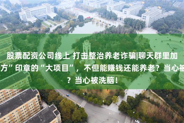 股票配资公司线上 打击整治养老诈骗|聊天群里加盖“官方”印章的“大项目”，不但能赚钱还能养老？当心被洗脑！