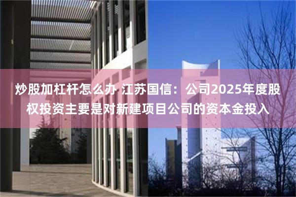 炒股加杠杆怎么办 江苏国信：公司2025年度股权投资主要是对新建项目公司的资本金投入