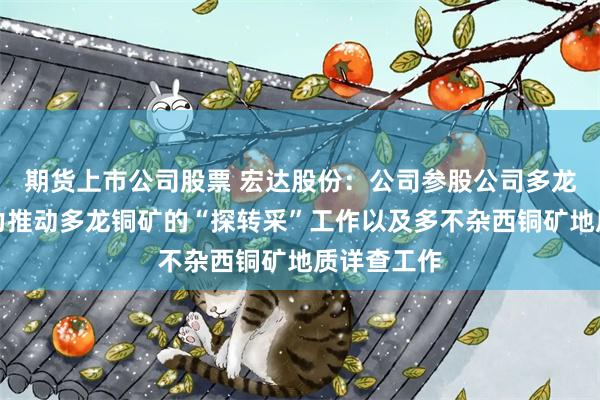 期货上市公司股票 宏达股份：公司参股公司多龙矿业正全力推动多龙铜矿的“探转采”工作以及多不杂西铜矿地质详查工作