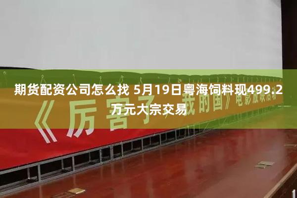 期货配资公司怎么找 5月19日粤海饲料现499.2万元大宗交易