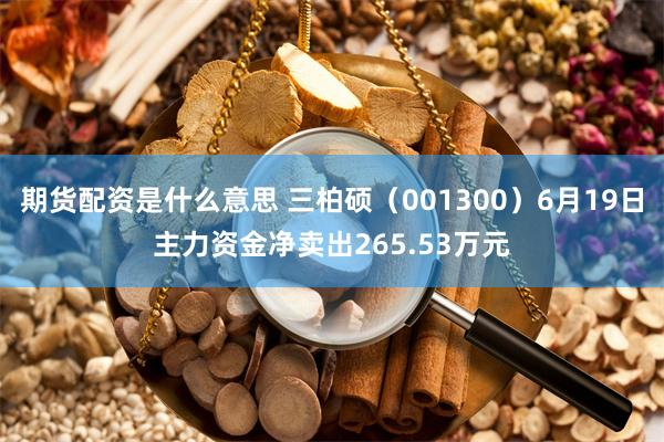 期货配资是什么意思 三柏硕（001300）6月19日主力资金净卖出265.53万元