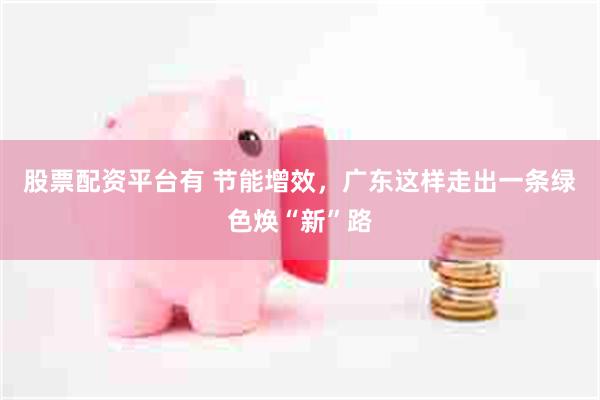 股票配资平台有 节能增效，广东这样走出一条绿色焕“新”路