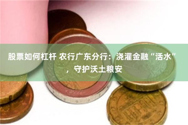 股票如何杠杆 农行广东分行：浇灌金融“活水” ，守护沃土粮安