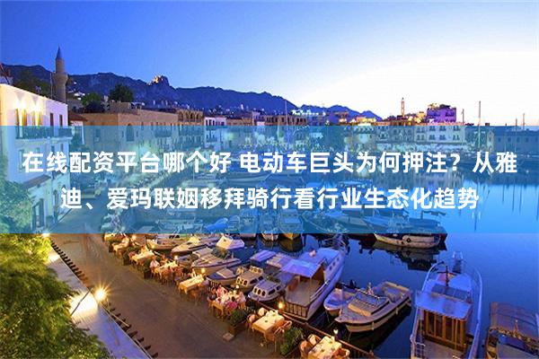 在线配资平台哪个好 电动车巨头为何押注？从雅迪、爱玛联姻移拜骑行看行业生态化趋势