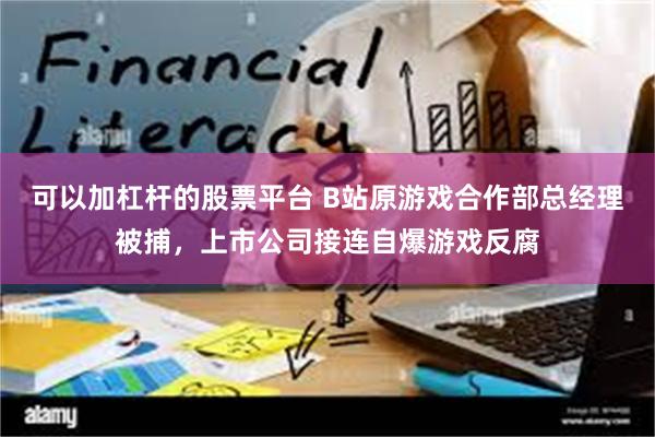 可以加杠杆的股票平台 B站原游戏合作部总经理被捕，上市公司接连自爆游戏反腐