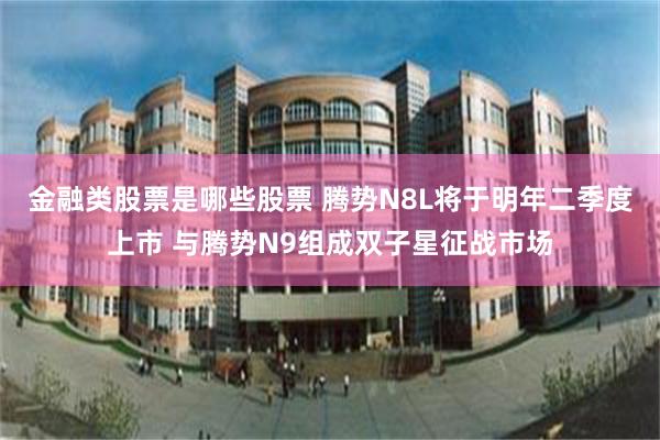 金融类股票是哪些股票 腾势N8L将于明年二季度上市 与腾势N9组成双子星征战市场