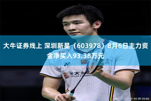大牛证券线上 深圳新星（603978）8月6日主力资金净买入93.38万元