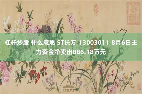 杠杆炒股 什么意思 ST长方（300301）8月6日主力资金净卖出886.18万元