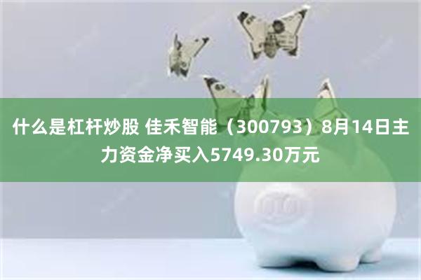 什么是杠杆炒股 佳禾智能（300793）8月14日主力资金净买入5749.30万元