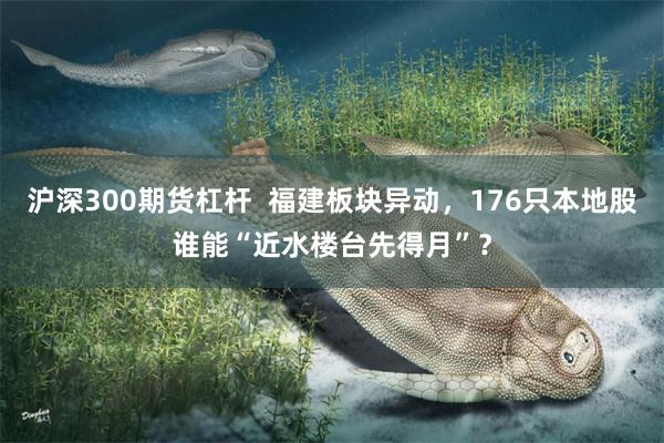 沪深300期货杠杆  福建板块异动，176只本地股谁能“近水楼台先得月”？