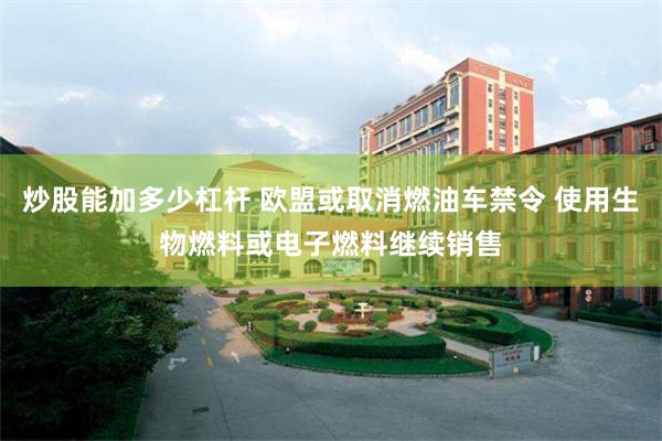 炒股能加多少杠杆 欧盟或取消燃油车禁令 使用生物燃料或电子燃料继续销售