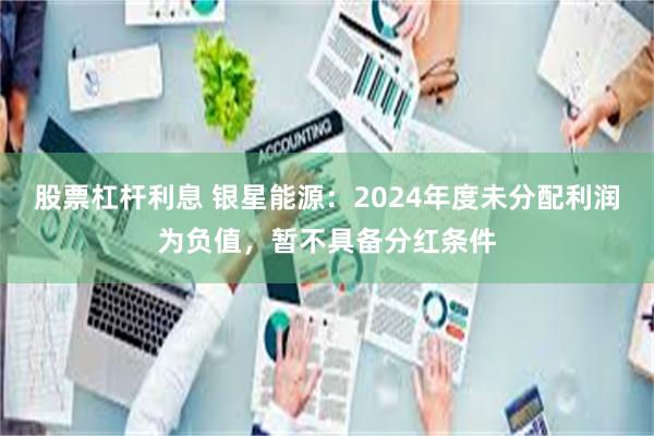 股票杠杆利息 银星能源：2024年度未分配利润为负值，暂不具备分红条件