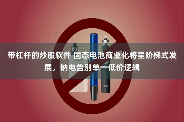 带杠杆的炒股软件 固态电池商业化将呈阶梯式发展，钠电告别单一低价逻辑