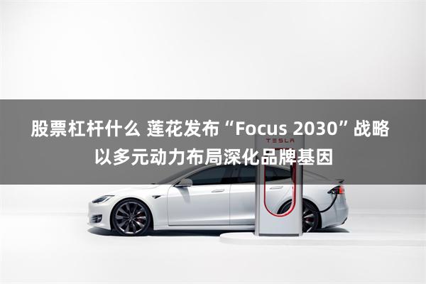 股票杠杆什么 莲花发布“Focus 2030”战略 以多元动力布局深化品牌基因