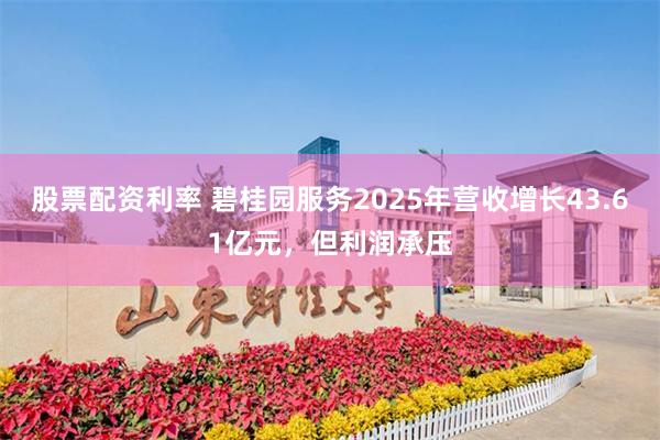 股票配资利率 碧桂园服务2025年营收增长43.61亿元，但利润承压