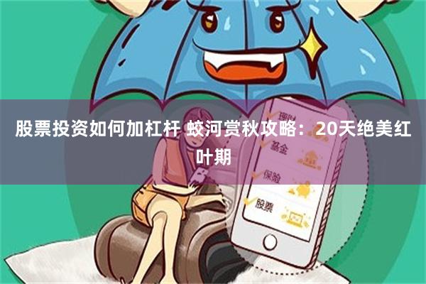 股票投资如何加杠杆 蛟河赏秋攻略：20天绝美红叶期