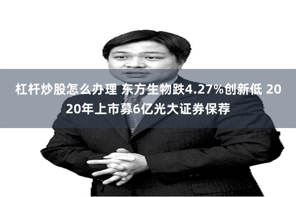 杠杆炒股怎么办理 东方生物跌4.27%创新低 2020年上市募6亿光大证券保荐