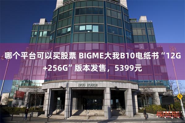 哪个平台可以买股票 BIGME大我B10电纸书“12G+256G”版本发售，5399元