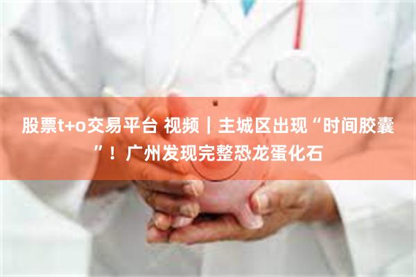 股票t+o交易平台 视频｜主城区出现“时间胶囊”！广州发现完整恐龙蛋化石