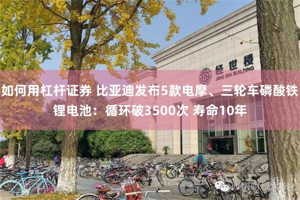 如何用杠杆证券 比亚迪发布5款电摩、三轮车磷酸铁锂电池：循环破3500次 寿命10年