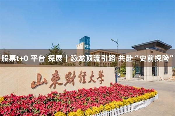 股票t+0 平台 探展｜恐龙顶流引路 共赴“史前探险”