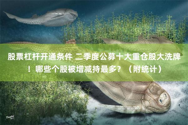 股票杠杆开通条件 二季度公募十大重仓股大洗牌！哪些个股被增减持最多？（附统计）