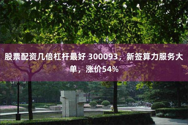 股票配资几倍杠杆最好 300093，新签算力服务大单，涨价54%