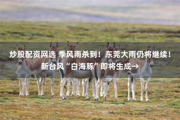 炒股配资网选 季风雨杀到！东莞大雨仍将继续！新台风“白海豚”即将生成→