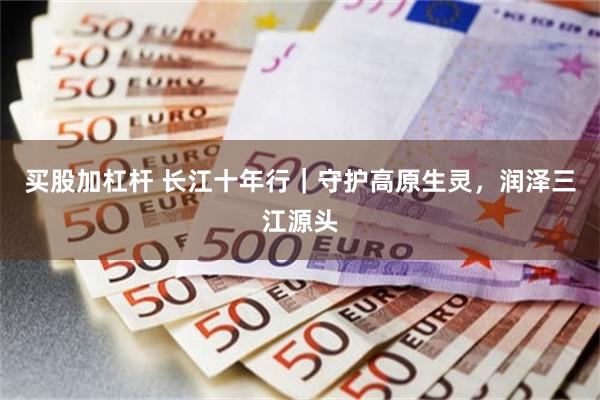 买股加杠杆 长江十年行｜守护高原生灵，润泽三江源头