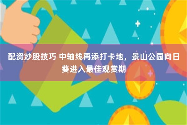 配资炒股技巧 中轴线再添打卡地，景山公园向日葵进入最佳观赏期