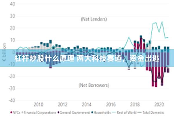 杠杆炒股什么原理 两大科技赛道,资金出逃