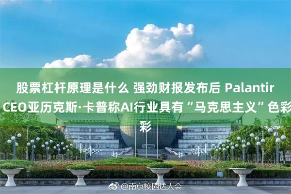 股票杠杆原理是什么 强劲财报发布后 Palantir CEO亚历克斯·卡普称AI行业具有“马克思主义”色彩