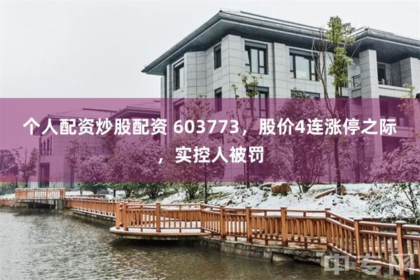 个人配资炒股配资 603773，股价4连涨停之际，实控人被罚