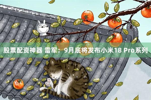 股票配资神器 雷军：9月底将发布小米18 Pro系列