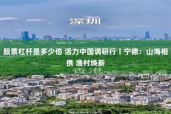 股票杠杆是多少倍 活力中国调研行丨宁德：山海相携 渔村焕新