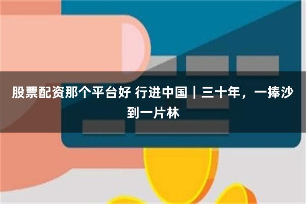 股票配资那个平台好 行进中国｜三十年，一捧沙到一片林