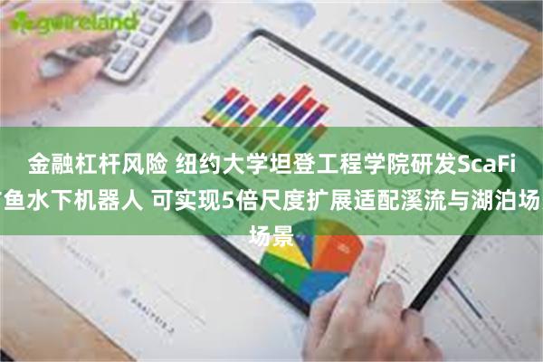 金融杠杆风险 纽约大学坦登工程学院研发ScaFi仿鱼水下机器人 可实现5倍尺度扩展适配溪流与湖泊场景