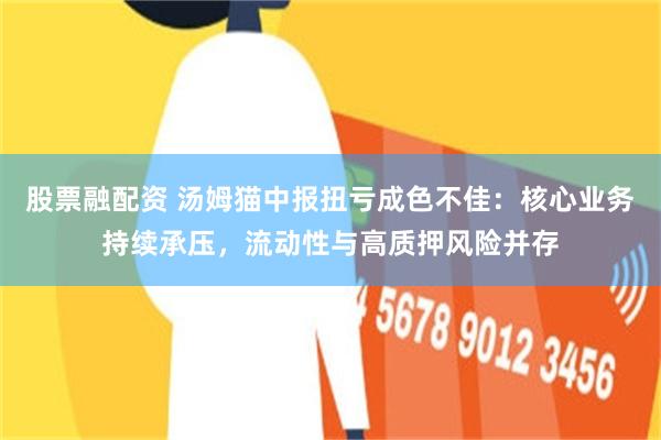 股票融配资 汤姆猫中报扭亏成色不佳：核心业务持续承压，流动性与高质押风险并存